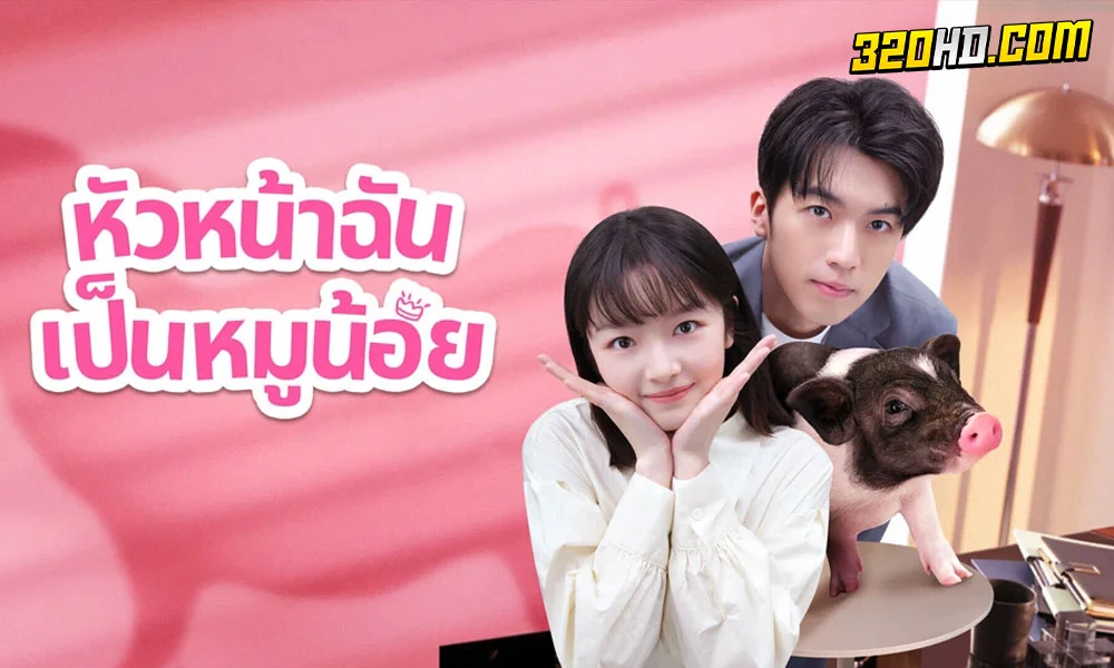 ดูซีรี่ย์จีน My Piggy Boss หัวหน้าฉันเป็นหมูน้อย (2024) 
