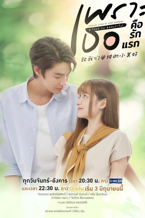 ดูซีรี่ย์ไทย เพราะเธอคือรักแรก A Love So Beautiful (2024) ย้อนหลัง EP.1-18 (จบ) Season 1