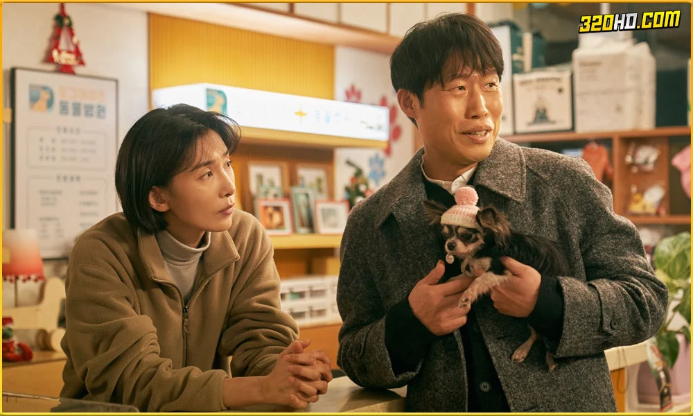 ดูหนัง Dog Days ด็อกเดย์ สี่ขาว้าวุ่น 