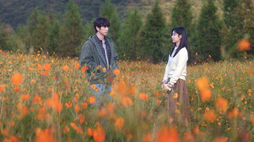 Still Shining เธอคือแสงส่องใจ  Season 1 EP 8