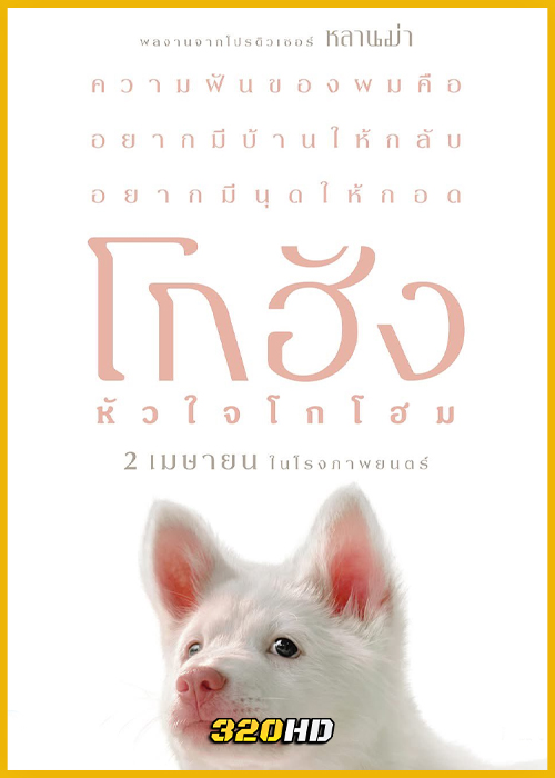 ดูหนัง Gohan โกฮัง หัวใจโกโฮม (2026) เต็มเรื่อง-HD